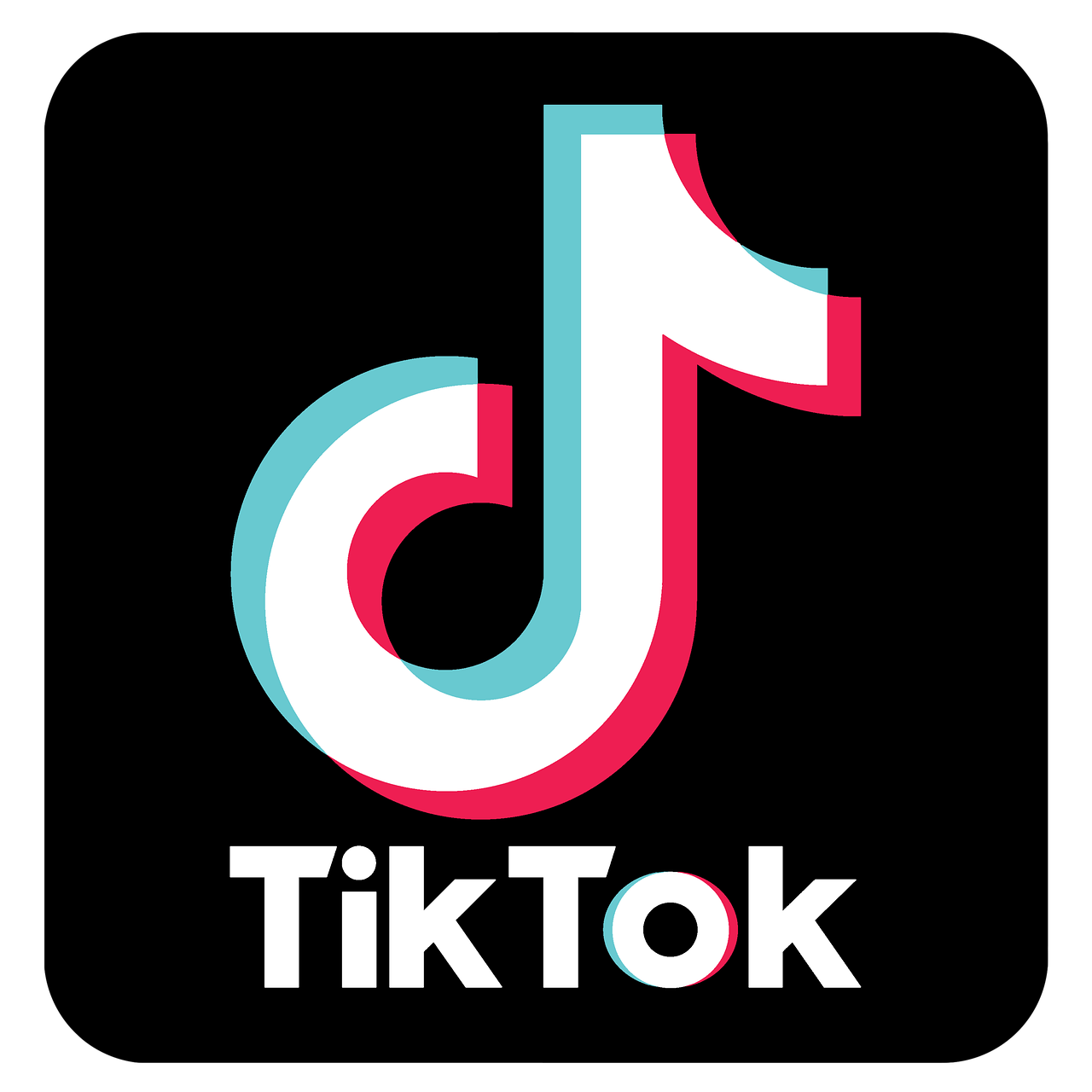 Skaitmeninė reklama TikTok reklama